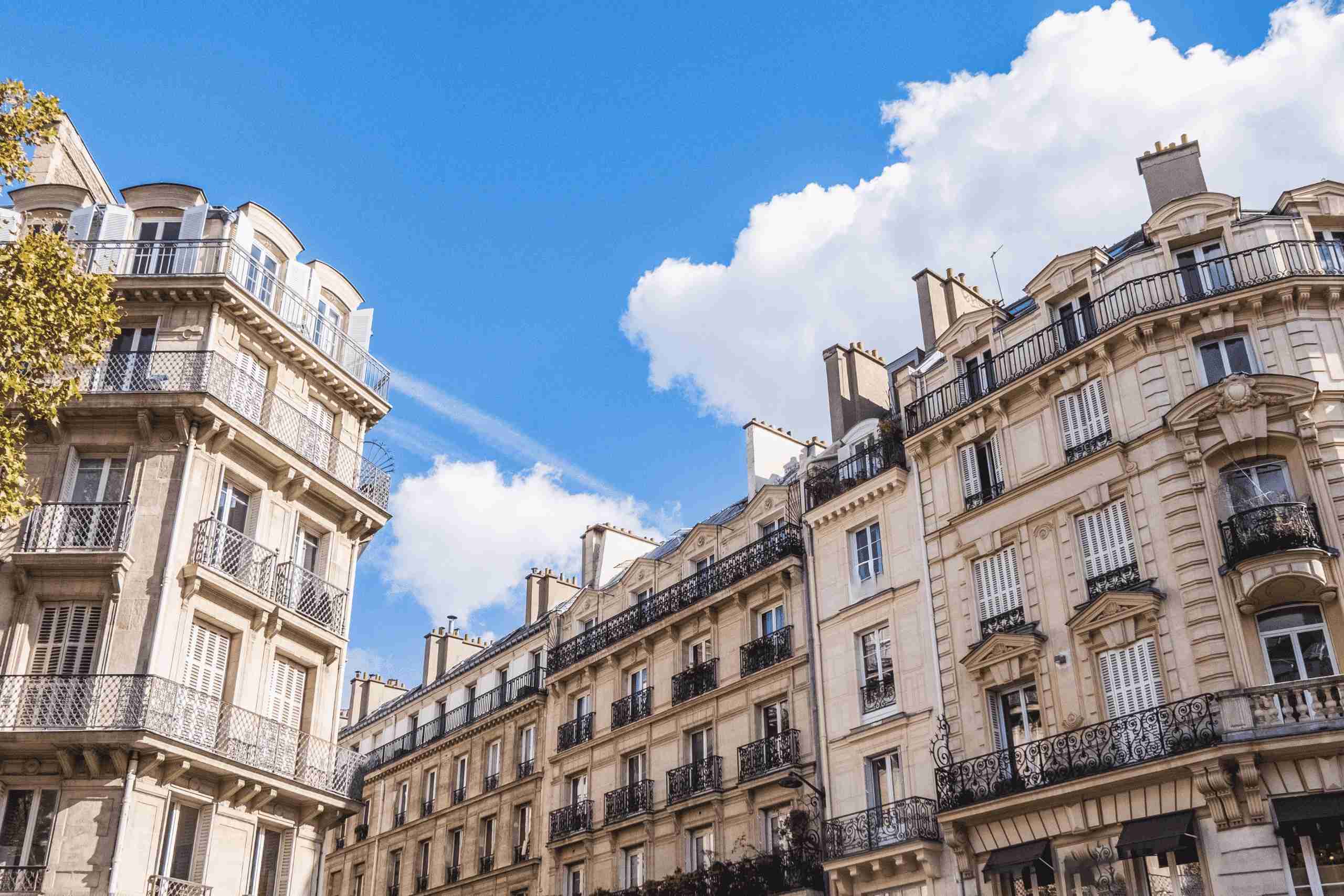 Image de fond de l'en-tête
