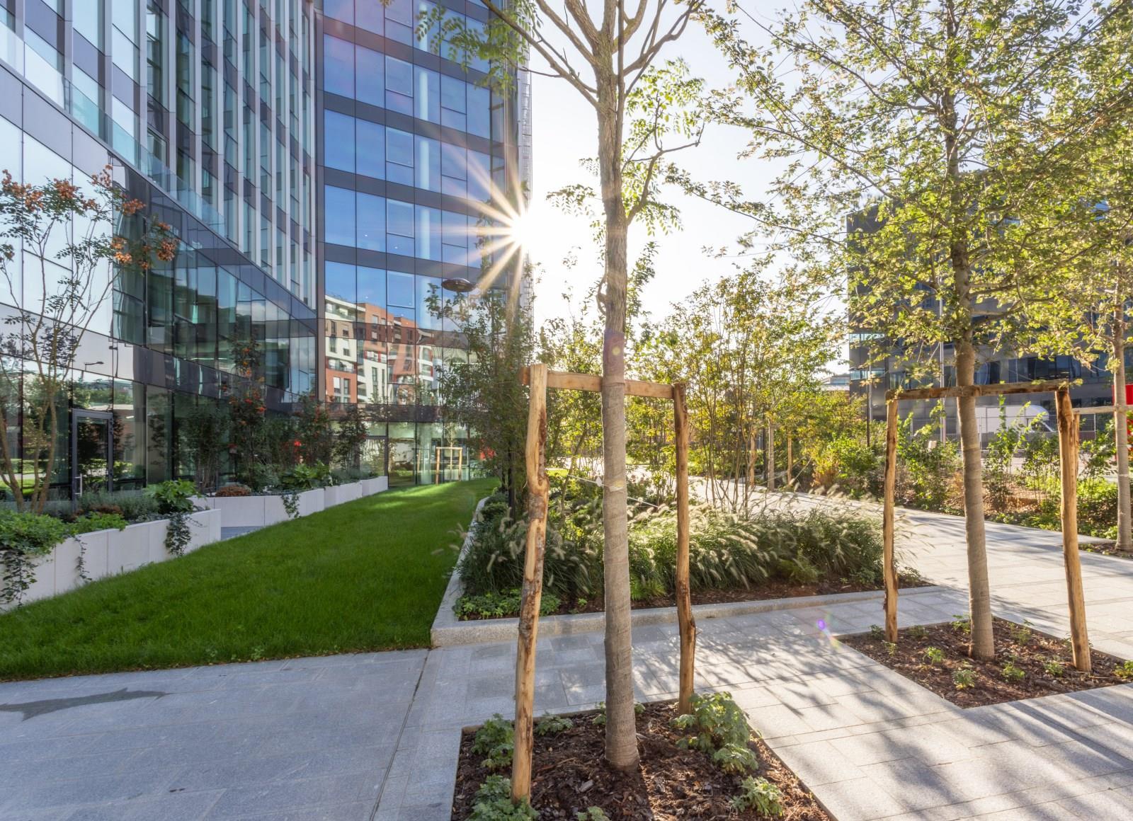 Photo 4 de 10 320 561